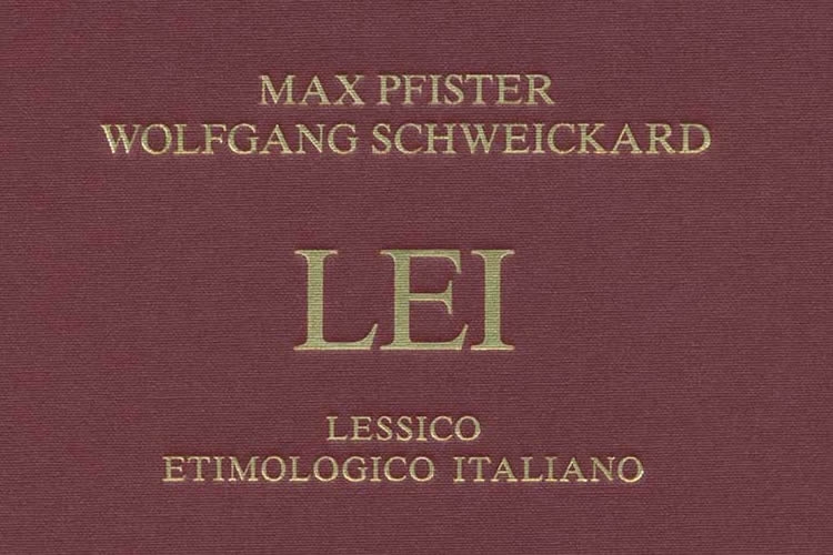 dettaglio della copertina del LEI